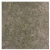 Jericho Gray Limestone