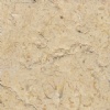 Lioz Dourado Limestone