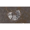 Grande Fossil Marble
