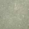 Fossil Green Honed Limestone
