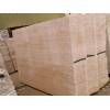 Classico travertine slabs