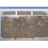 Marron Fossile Slabs
