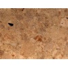 Crema Altea