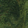 Kerala Green-Tropical Green