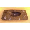 Marrakech sink-made from fossil marble