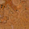 Travertine Geoagiu
