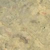 Champagne marble