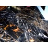 Black Gold Marble