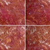 Red and Brown travertine