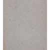 Biancone Fossil