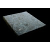 Bohleite Shell Limestone