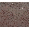Granite Enb03112