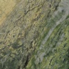Irish Connemarble Green