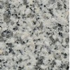 Crystal White Jade Granite
