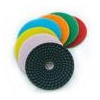 Diamond Polishing Pads (DP-01)