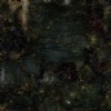 Verde Butterfly Dark