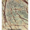 Rain Forest Brown