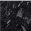Fossil Black Marble