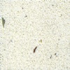 Quartz Stone