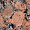 Imported Granite Carmen Red