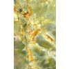 Onice verde scuro