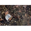 Marron Fossil marble