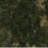 Verde Butterfly granite