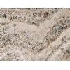 Bianco Antico