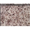Branco Coral granite