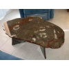 Wild tabletop brown fossil marble