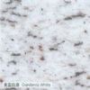 Gardenia White Granite tile