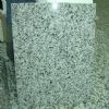 Granite g640 slab
