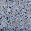 Pearl Flower Granite