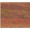 Red travertine
