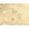 Silvec-Marble Slab/Tile Stone&nbsp;