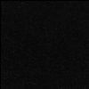 Shanxi Black