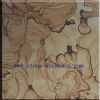 Cortex Vein Sandstone