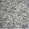 Tiger skin White