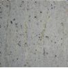 Kashmir White