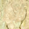 Breccia Oniciata
