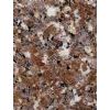 granite