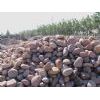 Natural cobblestone