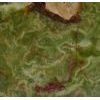 Dark Green Onyx
