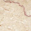 Shell Beige