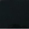 Shanxi Black