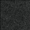 G654