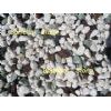 Color Pebble Stone