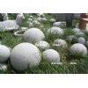 Stone Balls