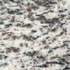 tiger skin white