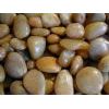 Yellow pebbles seller